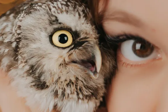 Efbet Casino Podrška